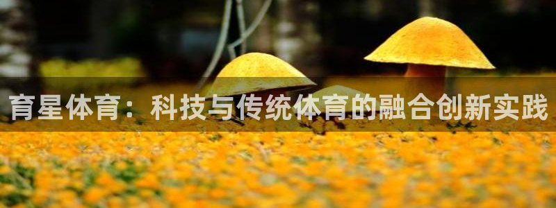 育星体育：科技与传统体育的融合创新实践